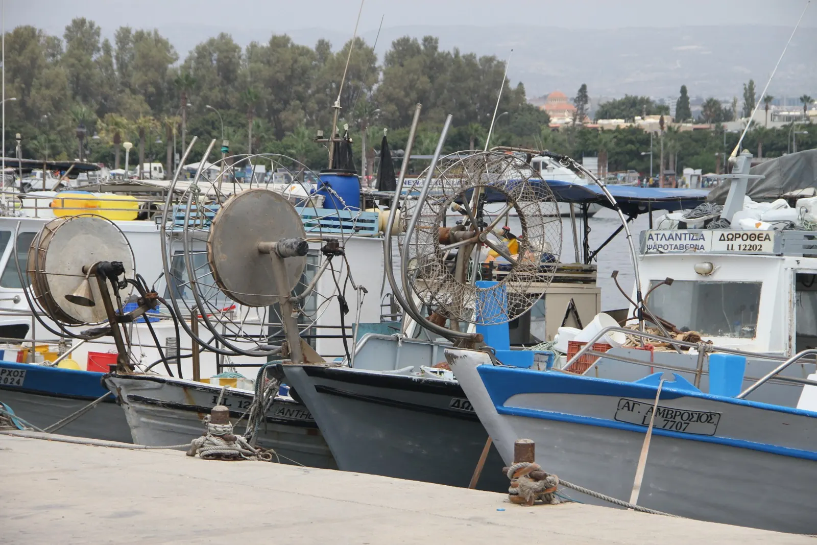 Fishing boats moored in Paphos harbor