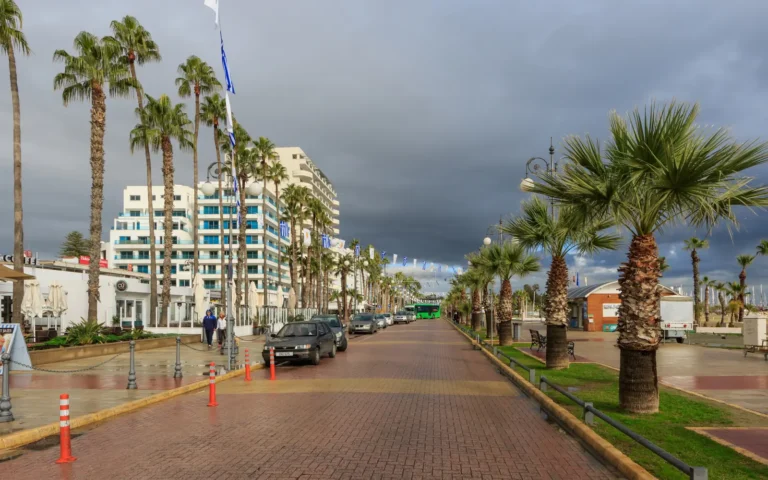 Palm-lined Finikoudes promenade in Larnaca